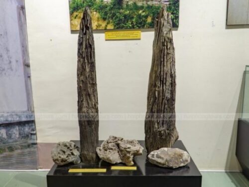 Wooden stakes in Vinh Bao Hai Phong Museum
