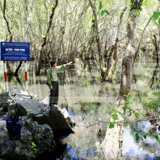 Trees reflected in the water at Ao Ech wetland in Cat Ba National Park