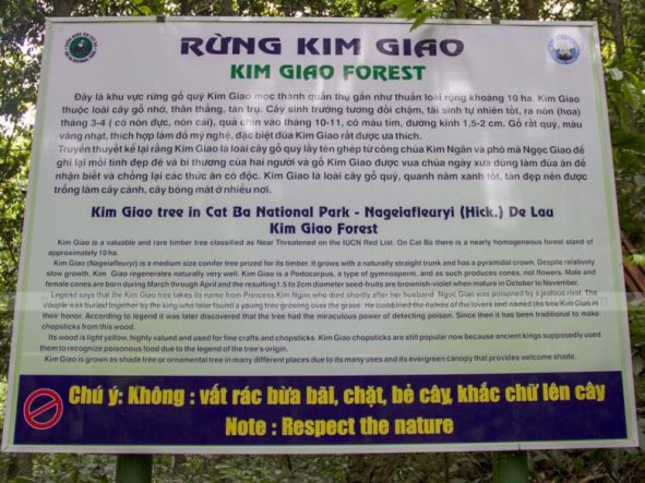 Kim Giao forest in Cat Ba national park