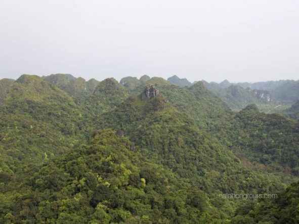 Amazing view from Ngu Lam peak Cat Ba national park
