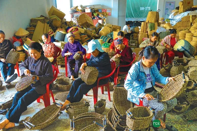 Làng nghề cói Kim Sơn Ninh Bình