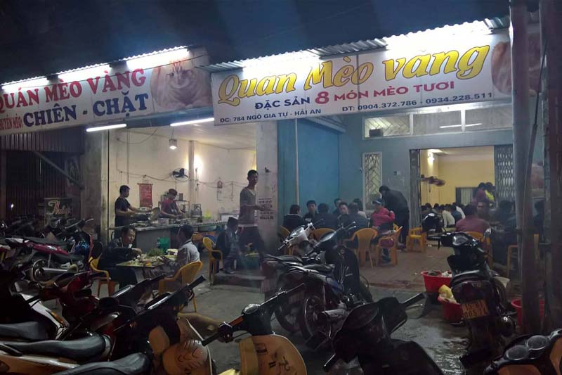 Quán Mèo Vàng Hải Phòng