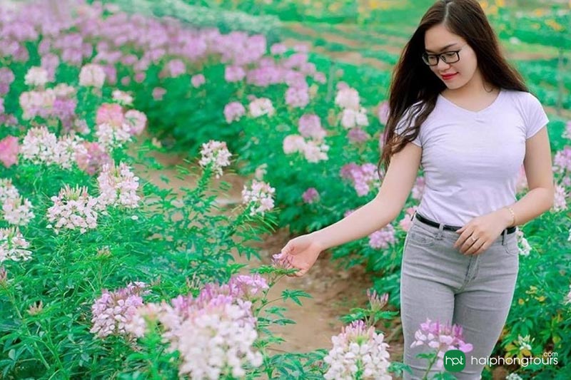 How to go to Quang La Flower Paradise