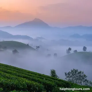Misty tea-covered hills at Long Coc in Phu Tho