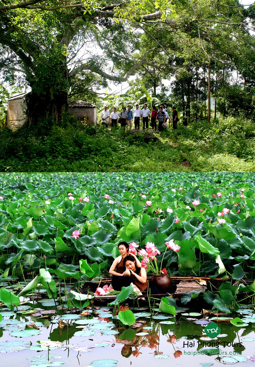 Đồng Châu Tiên Yên: Đình cổ cùng Hồ đẹp chụp ảnh sen đẹp số 1 huyện