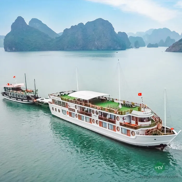 Calypso Cruise 2 day 1 night tour pick up in Haiphong