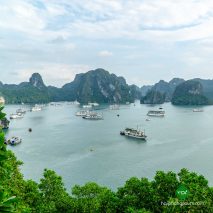 6 Hours Hai Phong Halong bay day tour