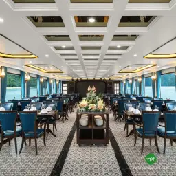 Luxury Halong bay day cruise