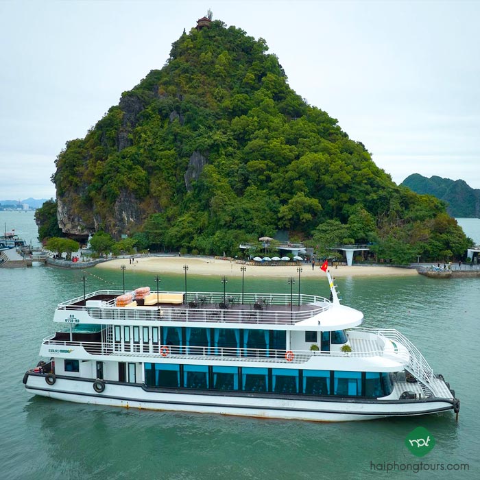 vDream Halong bay day cruise