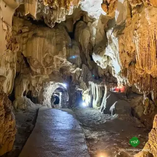 A narrow visitor path beneath limestone formations inside Trung Trang Cave