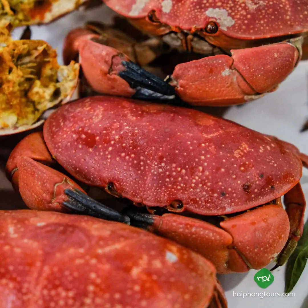Steamed cù kỳ seafood in Halong