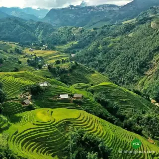 Green rice terraces and wooded mountain slopes near Sapa
