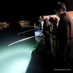 Squid Fishing
